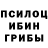 Псилоцибиновые грибы GOLDEN TEACHER Khawar Jovid
