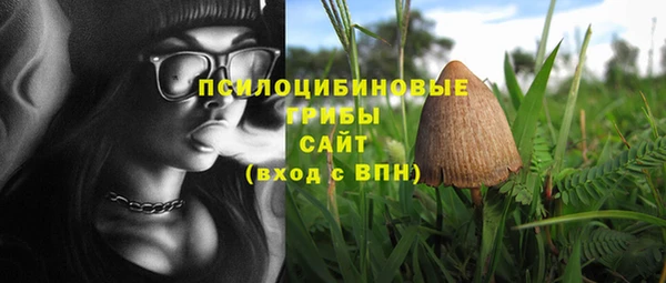 MDMA Михайловка