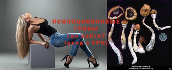 кокс Михайлов