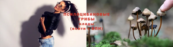 трава Михайловск