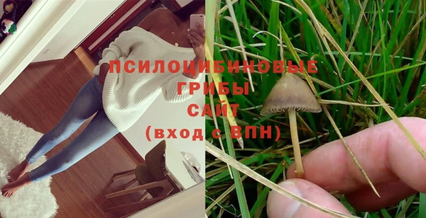 кокс Михайлов