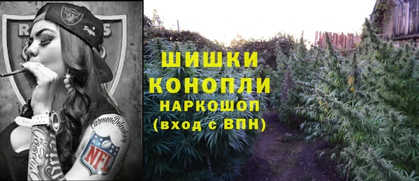 кокс Михайлов