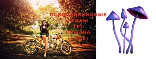 кокс Михайлов