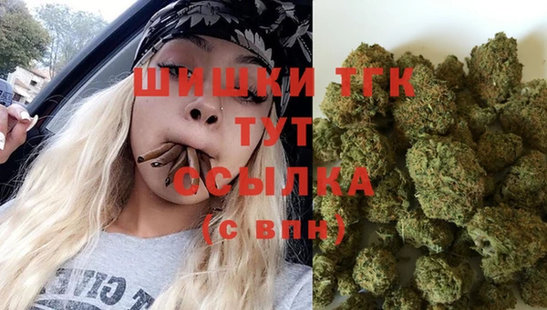кокс Михайлов