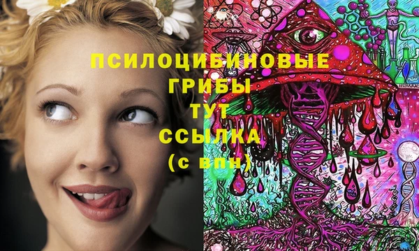 трава Михайловск